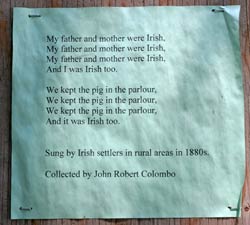 Song of Irish Settlers