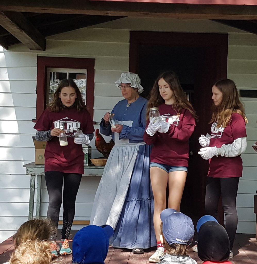 junior docents